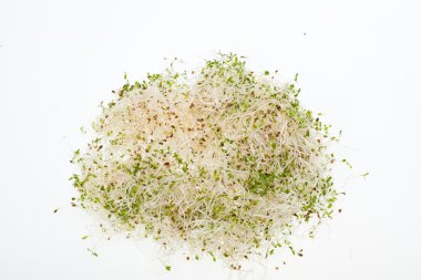 sağlıklı beslenme.