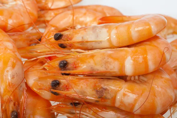 Fresh shrimp isolated on a white background — Stock Photo, Image