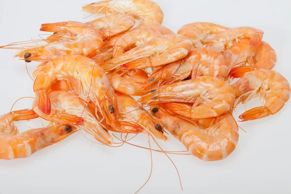 Fresh shrimp isolated on a white background — Stock Photo, Image