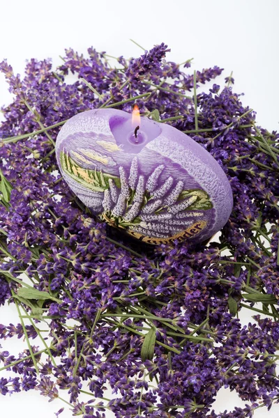 Lavendel und Kerze isoliert auf weißem Hintergrund — Stockfoto