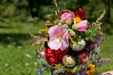 Güzel çiçek buketleri ve bitkiler