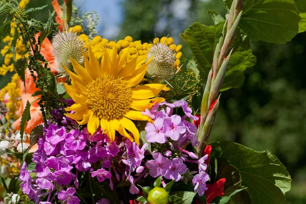 Beautiful bouquets of flowers and herbs — Stock Photo, Image