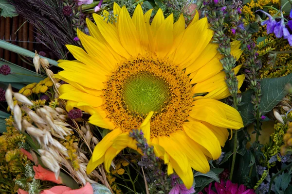 Smukke buketter af blomster og urter - Stock-foto