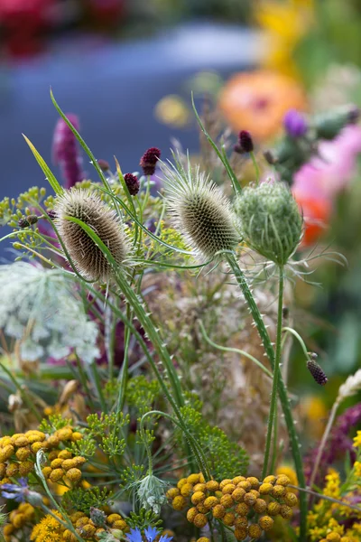 Beaux bouquets de fleurs et d'herbes — Photo