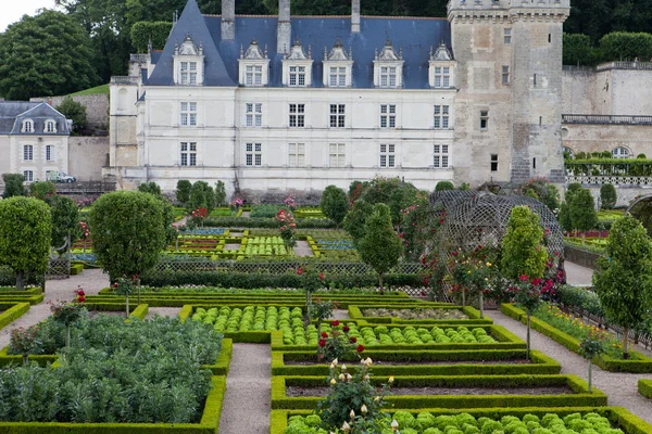 Jardines y Chateau de Villandry en el Valle del Loira en Francia — Foto de Stock