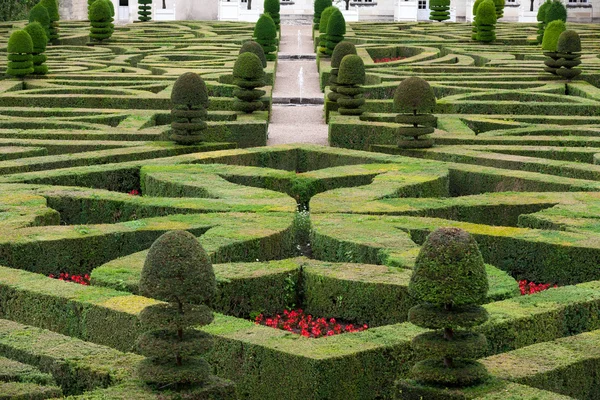 Splendid, decorative gardens at castles in France — Stock Photo, Image