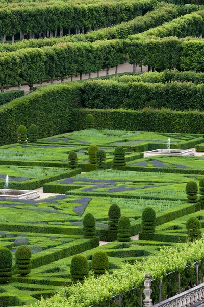 Giardini e Chateau de Villandry in Valle della Loira in Francia — Foto Stock