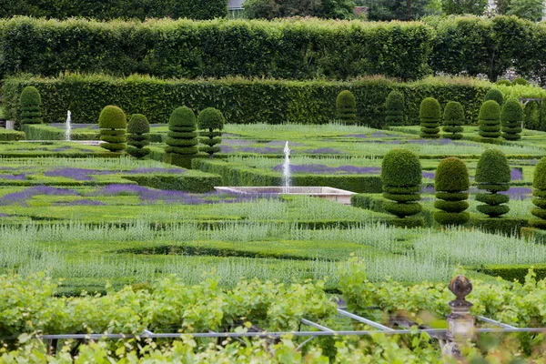 Splendidi giardini decorativi nei castelli in Francia — Foto Stock