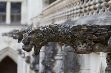Gargoyle üzerinde Gotik Katedrali, saint gatien Tours-loire valley Fransa