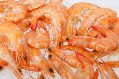 Beyaz bir arka plan üzerinde izole taze karides