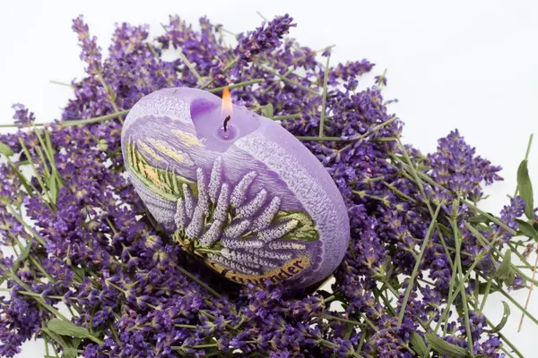 Lavendel und Kerze isoliert auf weißem Hintergrund — Stockfoto