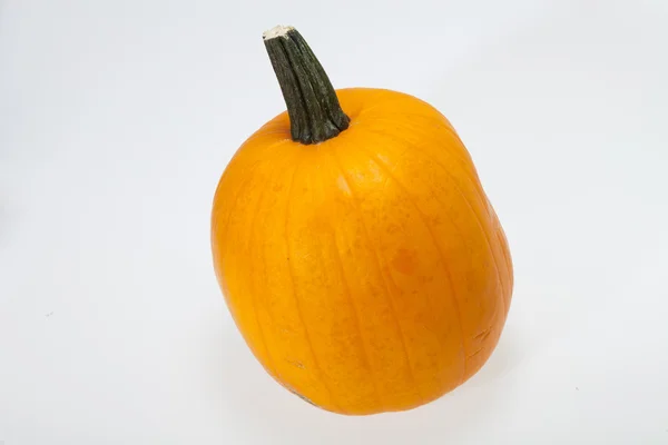 Zucca arancio fresco isolato su sfondo bianco — Foto Stock