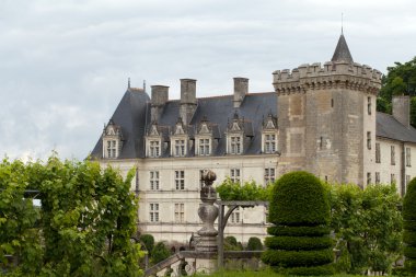 сади і chateau de Вілландрі в Долина Луари у Франції