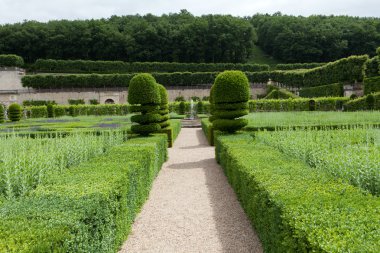 сади і chateau de Вілландрі в Долина Луари у Франції