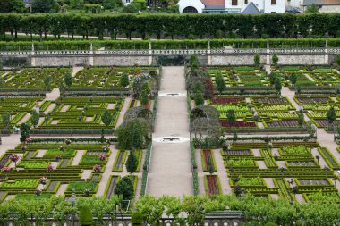 Villandry Şatosu 'ndaki mutfak bahçesi. Loire Vadisi, Fransa