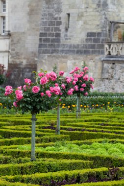 сади і chateau de Вілландрі в Долина Луари у Франції
