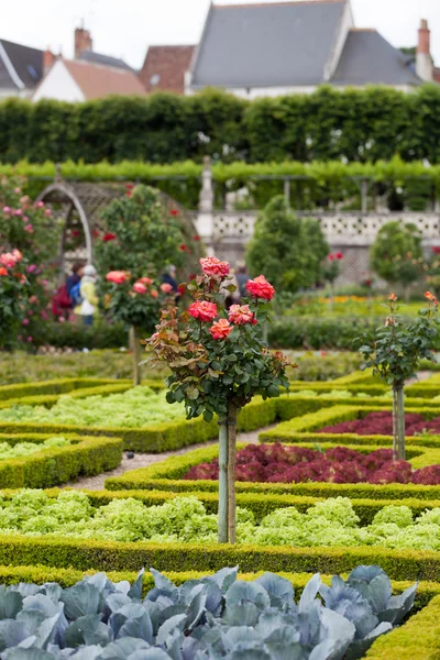 Zahrady a zámek de villandry v údolí Loiry ve Francii — Stock fotografie