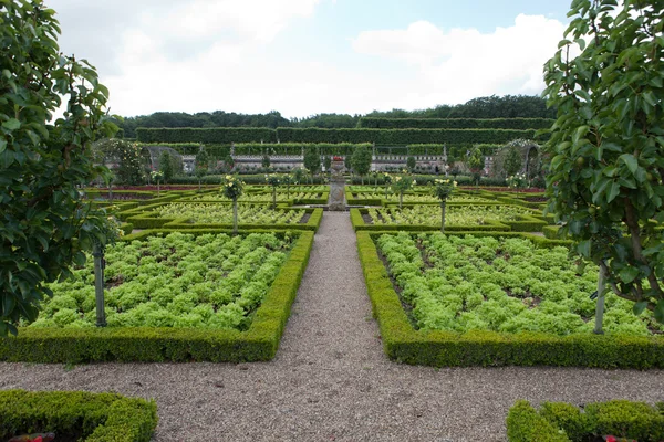 Ogrody i Pałac de villandry w dolinie Loary we Francji — Zdjęcie stockowe