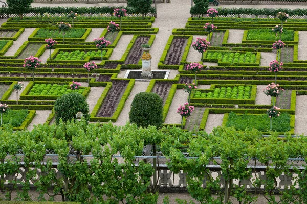 庭園とシャトー デ ヴィランドリー フランスのロワール渓谷 — ストック写真