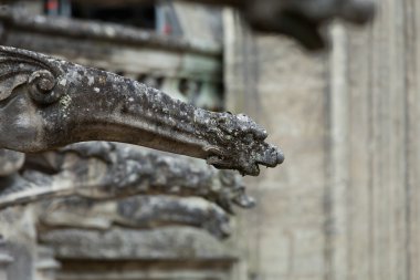 Gargoyle üzerinde Gotik Katedrali, saint gatien Tours-loire valley Fransa