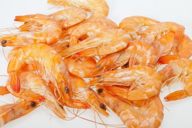 Beyaz bir arka plan üzerinde izole taze karides