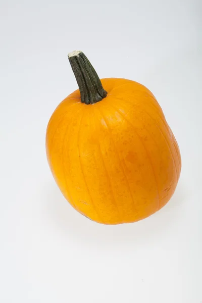 Fresh orange pumpkin isolated on white background — Stock Photo, Image