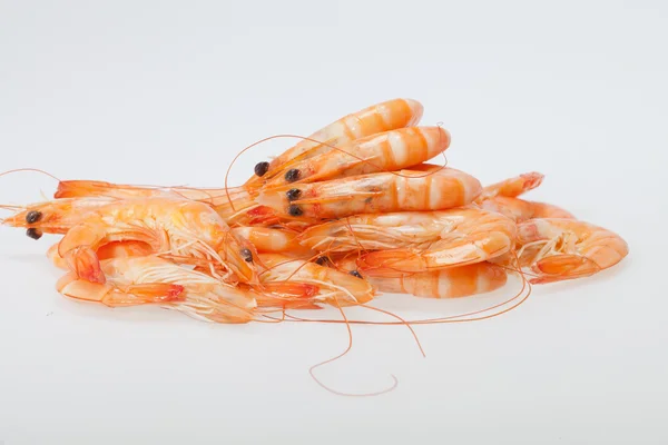 Camarones frescos aislados sobre un fondo blanco — Foto de Stock