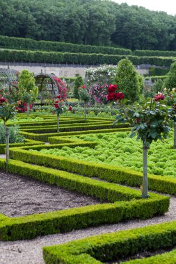 сади і chateau de Вілландрі в Долина Луари у Франції