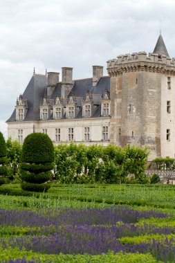 сади і chateau de Вілландрі в Долина Луари у Франції