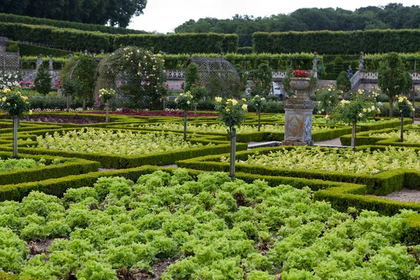 Gardens and Chateau de Villandry in Loire Valley in France — Stock Photo, Image