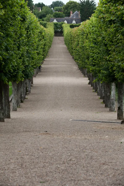 Splendides jardins décoratifs dans les châteaux de France — Photo