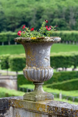 Fransa 'daki kalelerdeki görkemli, dekoratif bahçeler.