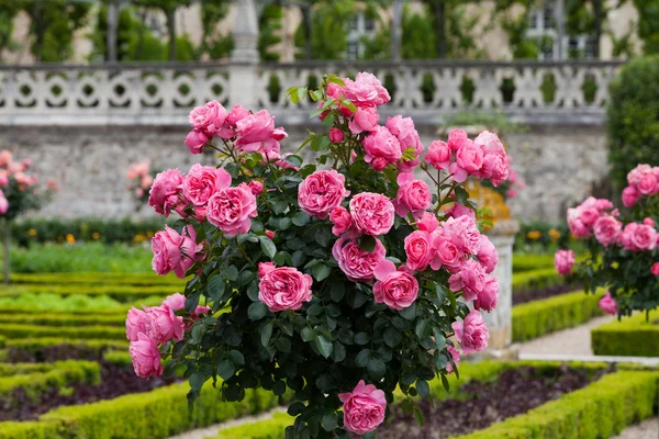 Gardens and Chateau de Villandry in the Loire Valley in France — стоковое фото