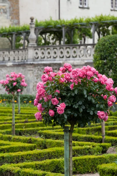 Zahrady a zámek de villandry v údolí Loiry ve Francii — Stock fotografie