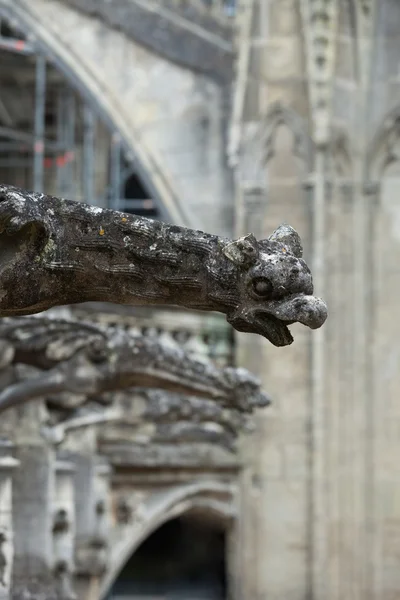 Gargoyle sulla cattedrale gotica di Saint Gatien a Tours, Valle della Loira Francia — Foto Stock