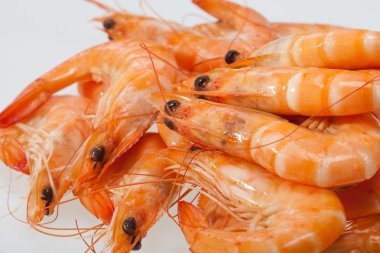 Beyaz bir arka plan üzerinde izole taze karides