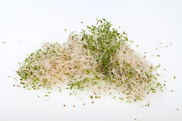 La dieta saludable. Brotes frescos aislados sobre fondo blanco — Foto de Stock