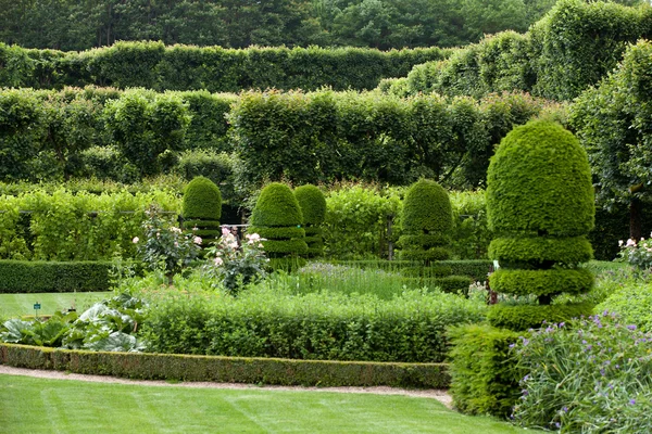 Wspaniałe, dekoracyjne ogrody w zamkach w Dolinie Loary — Zdjęcie stockowe
