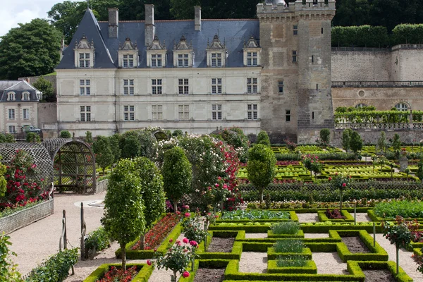 Gardens and Chateau de Villandry in the Loire Valley in France — стоковое фото