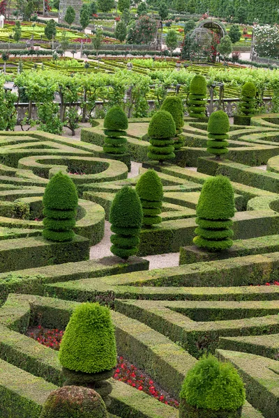 Jardines y Chateau de Villandry en el Valle del Loira en Francia — Foto de Stock