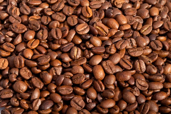 Coffee beans close up isolated on white — Stock Photo, Image