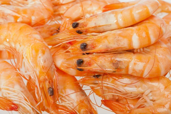 Fresh shrimp isolated on a white background — Stock Photo, Image