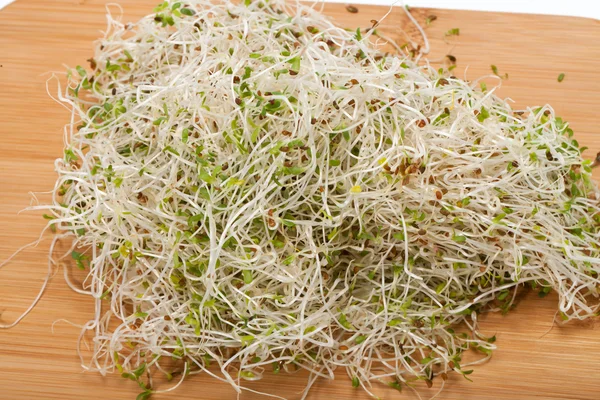 The healthy diet. Fresh sprouts isolated on white background — Stock Photo, Image