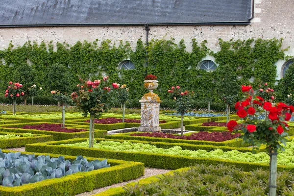 Jardines y Chateau de Villandry en el Valle del Loira en Francia —  Fotos de Stock