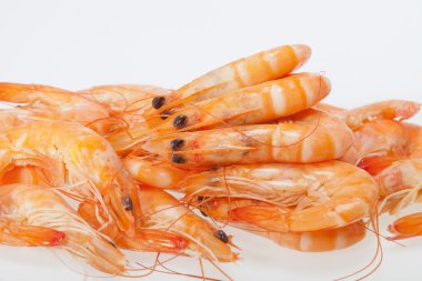 Beyaz bir arka plan üzerinde izole taze karides