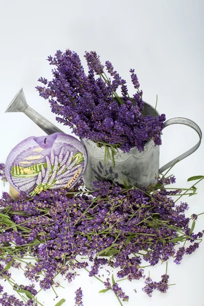 Kastelukannu, kynttilä ja laventeli eristetty valkoinen — kuvapankkivalokuva