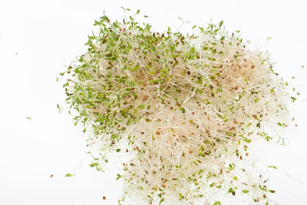 Fresh alfalfa sprouts isolated on white background — Stock Photo, Image