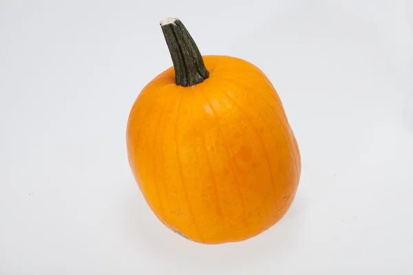 Zucca arancio fresco isolato su sfondo bianco — Foto Stock