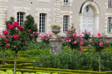 Villandry Şatosu 'ndaki mutfak bahçesi. Loire Vadisi, Fransa