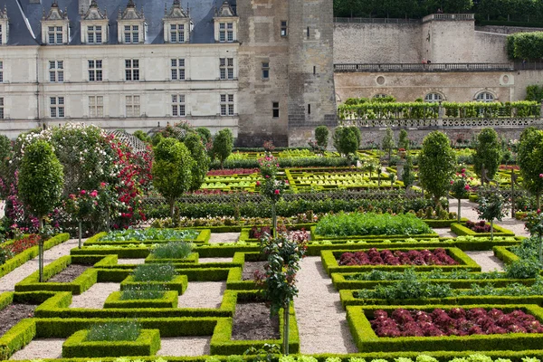 Zahrady a zámek de villandry v údolí Loiry ve Francii — Stock fotografie